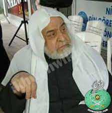 حسن-عبد-الحميد.8.jpg