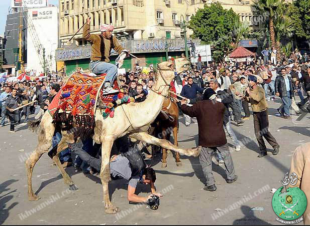ملف:موقعة-الجمل1.jpg