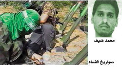 الضيف.jpg