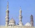 حوارات63.jpg