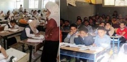 المدارس الحكومية و المدارس التجريبية.jpg