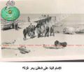 البنا-في-غزة.10.jpg