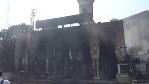 فض رابعة والنهضة (4).jpg