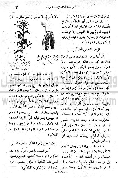 ملف:4y.jpg