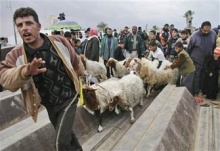 معاناة فلسطين3.jpg