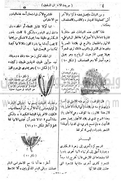 ملف:5y.jpg