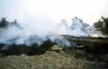 تصغير للنسخة بتاريخ ٢١:٢٣، ٣٠ سبتمبر ٢٠١٥