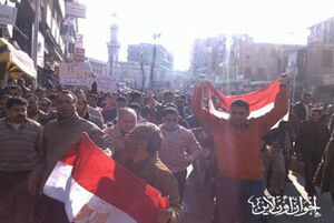 متظاهرو البحيرة.jpg