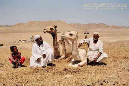 شمال-س2.jpg
