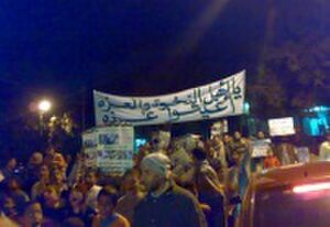 اهالى الدقهلية يطالبون بنصرة اخوانهم فى غزة.jpg